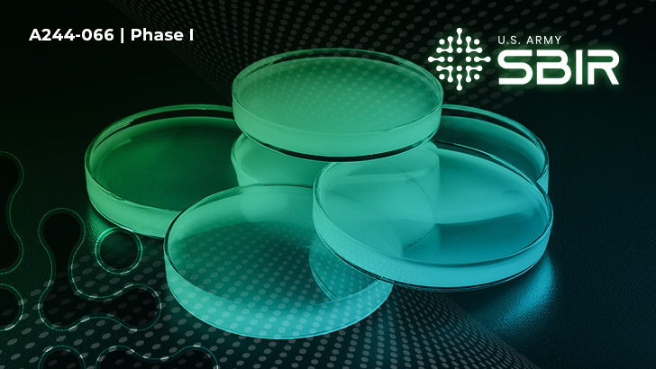 Discs