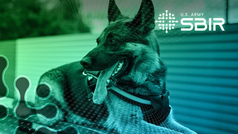 German Shepheard Dog